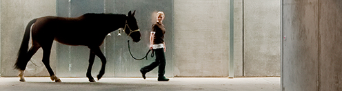 Photo of animal caretaker with a horse