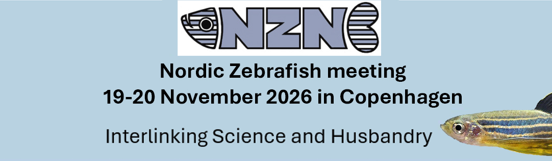 blue logo nzn